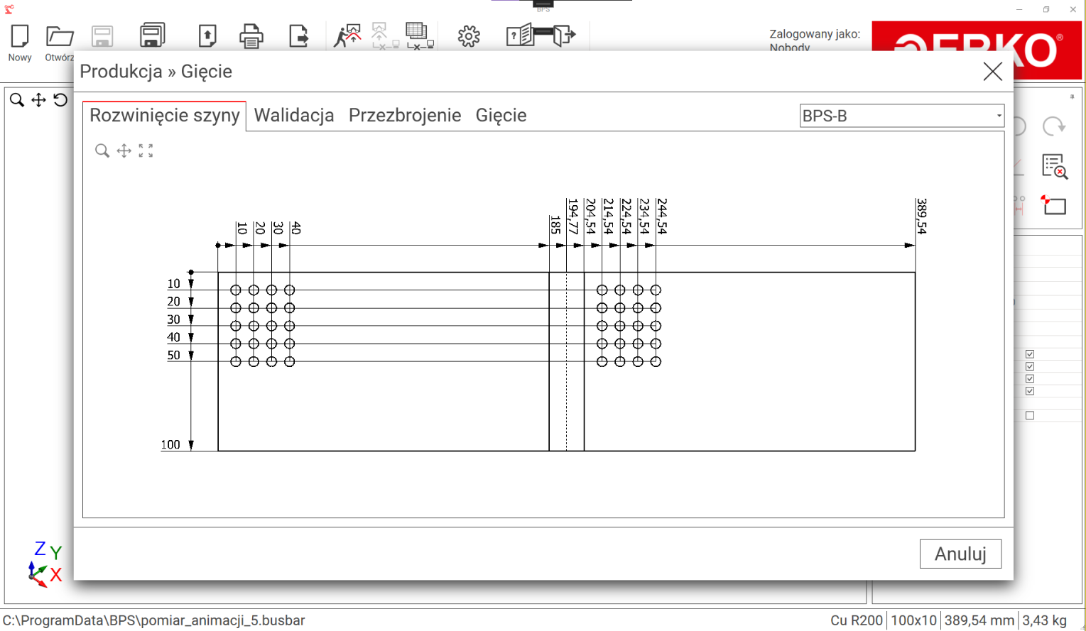 ERKO - BPS solution preview 1